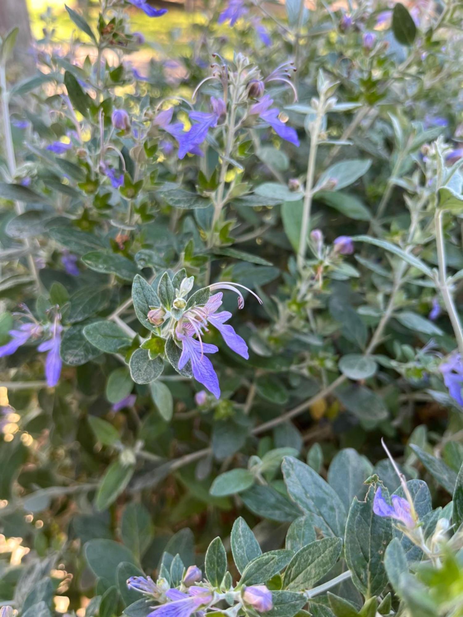 גרוסטו Agriturismo Valdo מראה חיצוני תמונה